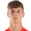 帕卢斯卡
